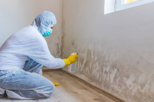 Licensed Commercial Mold Remediation service in Pitman, NJ - WQB Mold Removal