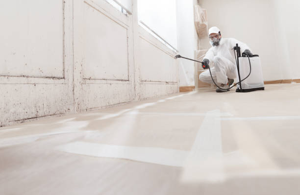 24/7 Emergency Commercial Mold Remediation experts in Pitman, NJ